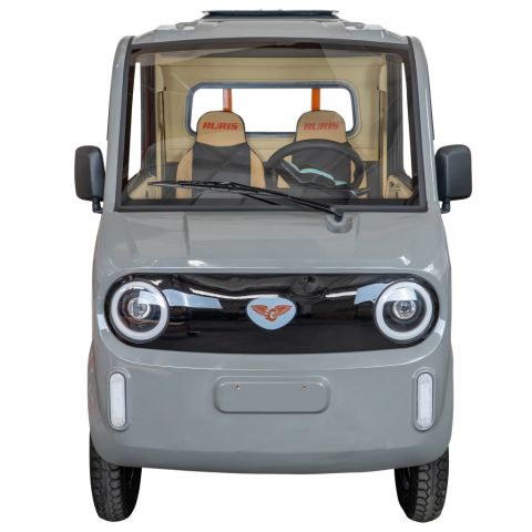Camionetă electrică<span> RURIS Pilot 5000G