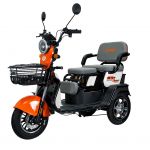 Electric cargo tricycle RURIS Pilot 3010A