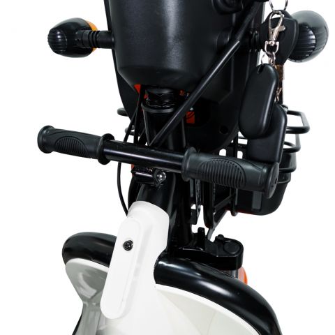 Electric cargo tricycle<span> RURIS Pilot 3010A