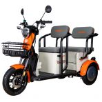 Electric tricycle RURIS Pilot 3020A