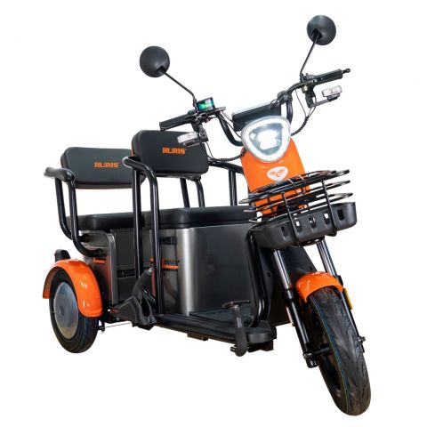 Electric tricycle<span> RURIS Pilot 3020G
