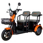 Electric tricycle RURIS Pilot 3020N
