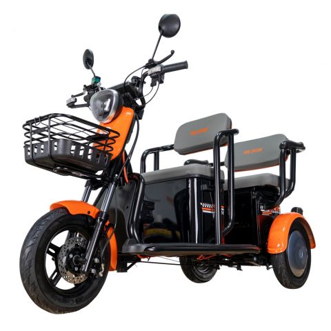 Electric tricycle<span> RURIS Pilot 3020N