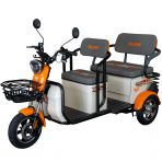 Electric tricycle RURIS Pilot 3040A