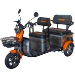 Electric tricycle RURIS Pilot 3040G
