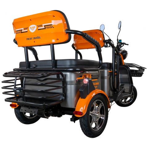 Electric tricycle<span> RURIS Pilot 3040G