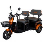 Electric tricycle RURIS Pilot 3040N