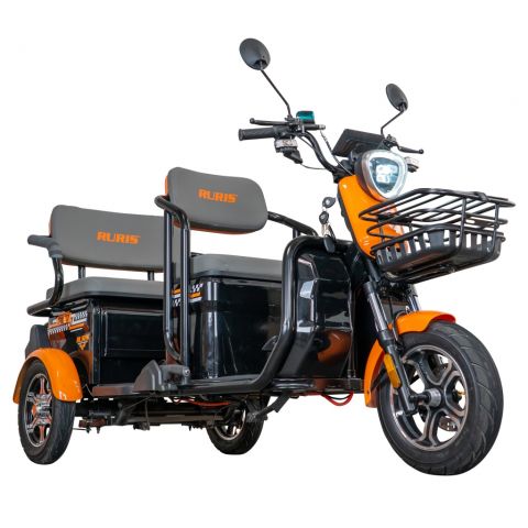 Electric tricycle<span> RURIS Pilot 3040N
