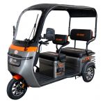 Electric tricycle RURIS Pilot 3070G