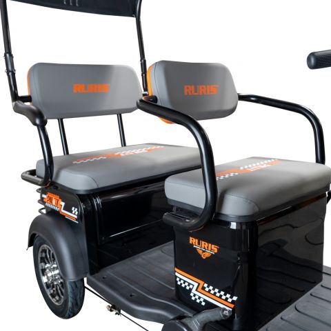 Electric tricycle<span> RURIS Pilot 3070N
