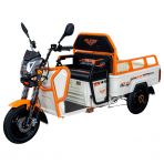 Electric cargo tricycle RURIS Pilot 3110A