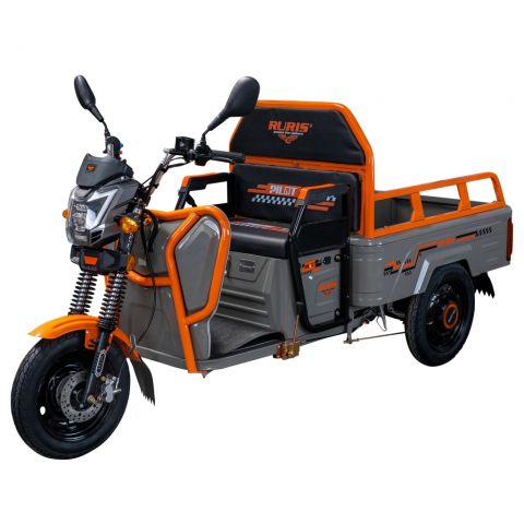 Electric cargo tricycle<span> RURIS Pilot 3110G