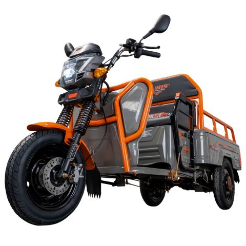 Electric cargo tricycle<span> RURIS Pilot 3110G