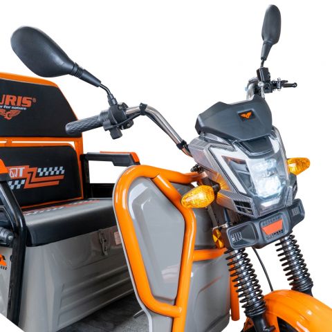 Electric cargo tricycle<span> RURIS Pilot 3110G