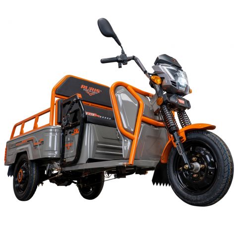 Electric cargo tricycle<span> RURIS Pilot 3110G
