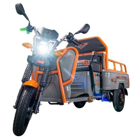 Electric cargo tricycle<span> RURIS Pilot 3110G
