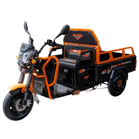 Electric cargo tricycle<span> RURIS Pilot 3110N