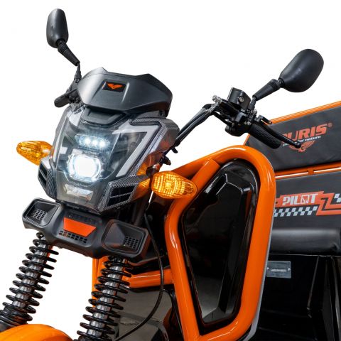 Electric cargo tricycle<span> RURIS Pilot 3110N
