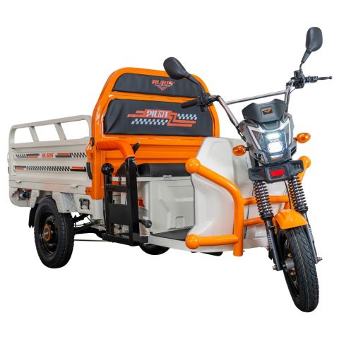 Electric cargo tricycle<span> RURIS Pilot 3120A