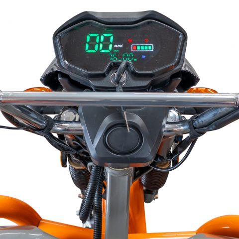 Electric cargo tricycle<span> RURIS Pilot 3120G
