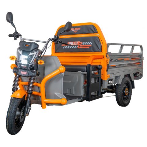 Electric cargo tricycle<span> RURIS Pilot 3120G