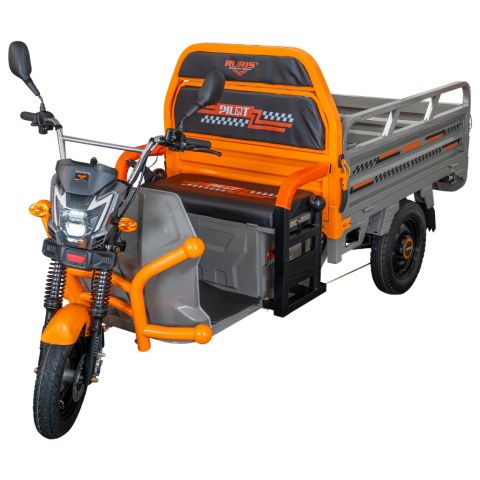 Electric cargo tricycle<span> RURIS Pilot 3120G