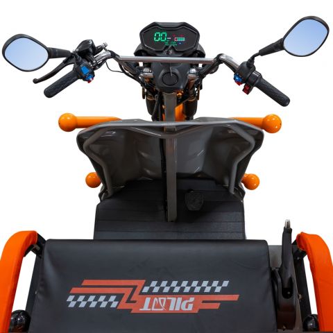 Electric cargo tricycle<span> RURIS Pilot 3120G