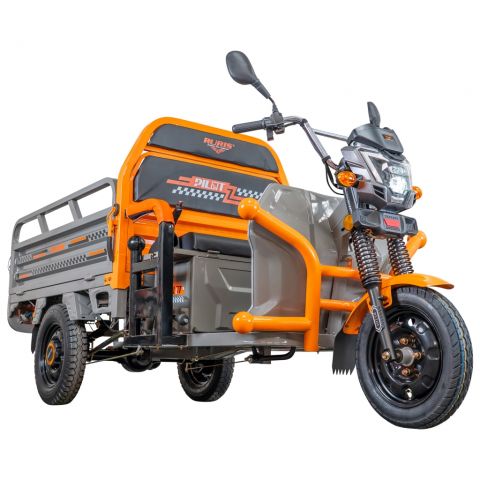Electric cargo tricycle<span> RURIS Pilot 3120G