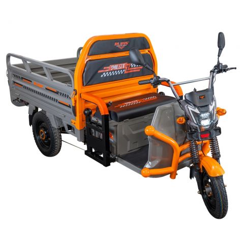 Electric cargo tricycle<span> RURIS Pilot 3120G