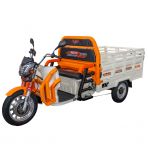 Electric cargo tricycle RURIS Pilot 3130A