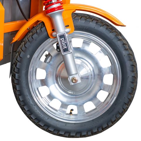 Electric cargo tricycle<span> RURIS Pilot 3130G