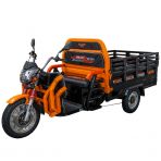 Electric cargo tricycle RURIS Pilot 3130N