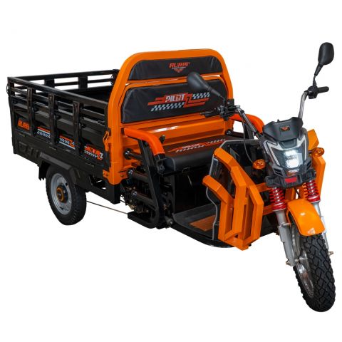 Electric cargo tricycle<span> RURIS Pilot 3130N