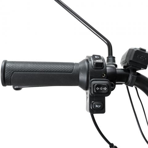 Triciclu electric cargo<span> RURIS Pilot 3010G