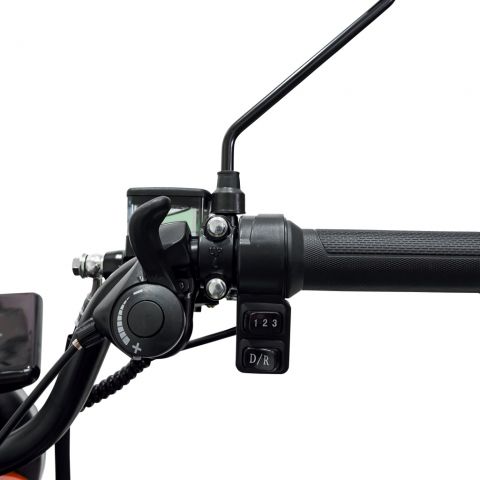 Triciclu electric cargo<span> RURIS Pilot 3010N