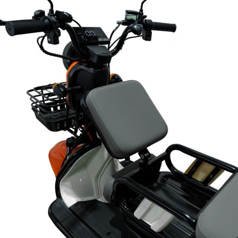 Triciclu electric<span> RURIS Pilot 3010A