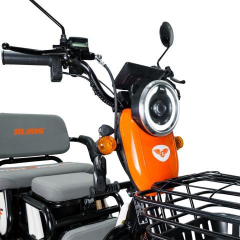 Triciclu electric<span> RURIS Pilot 3010A