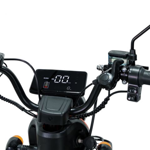Triciclu electric<span> RURIS Pilot 3010A