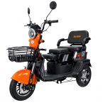 Triciclu electric cargo RURIS Pilot 3010G