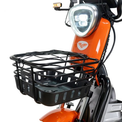 Triciclu electric<span> RURIS Pilot 3020G